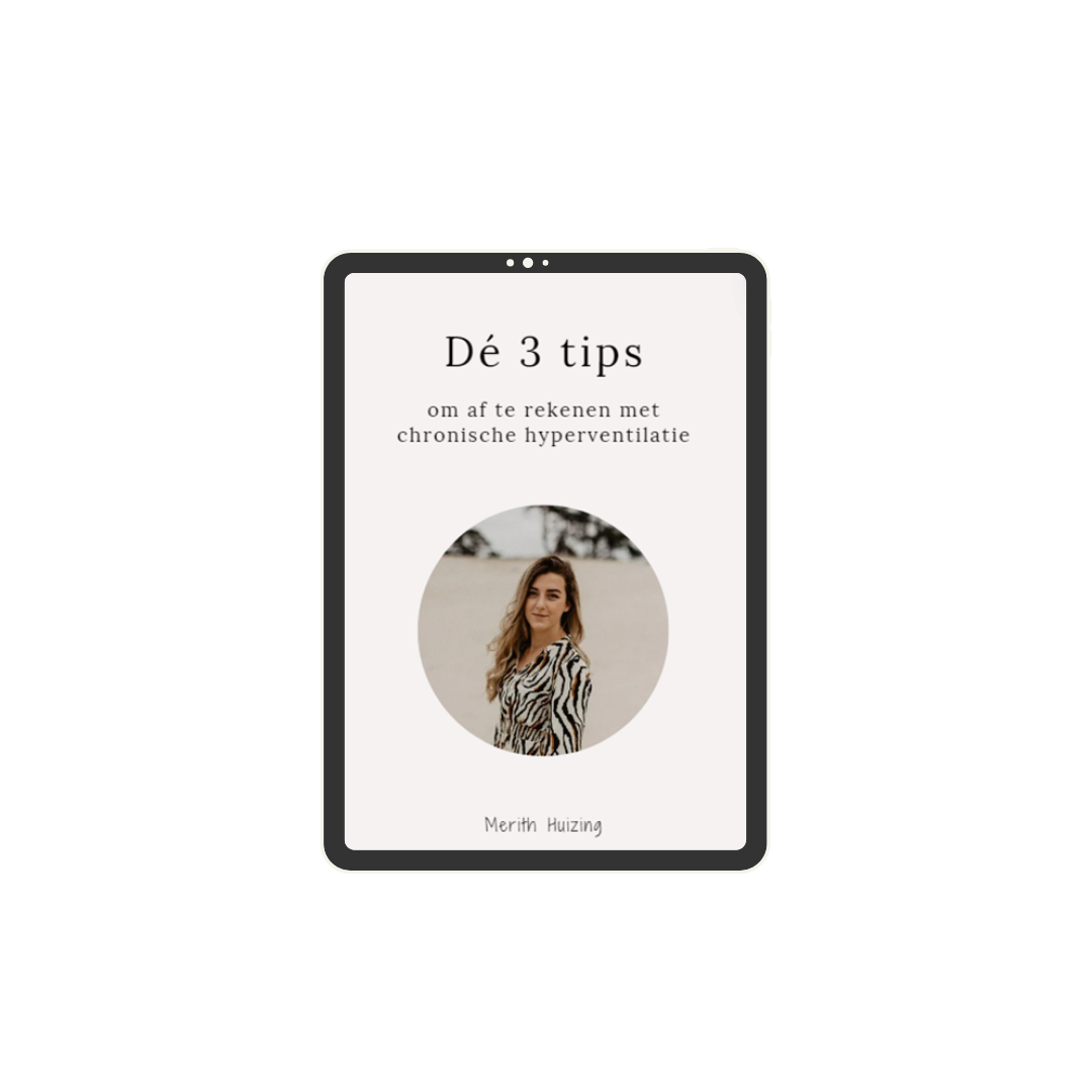 Merith-Huizing-ebook